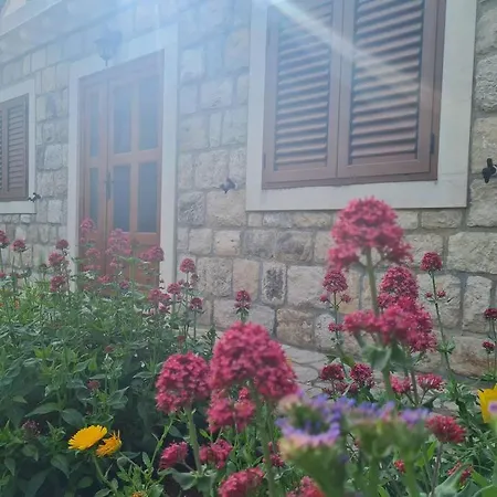 Eco-green Apartman *